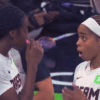 WNBA Game Halted After Dildo Toss Stuns Crowd