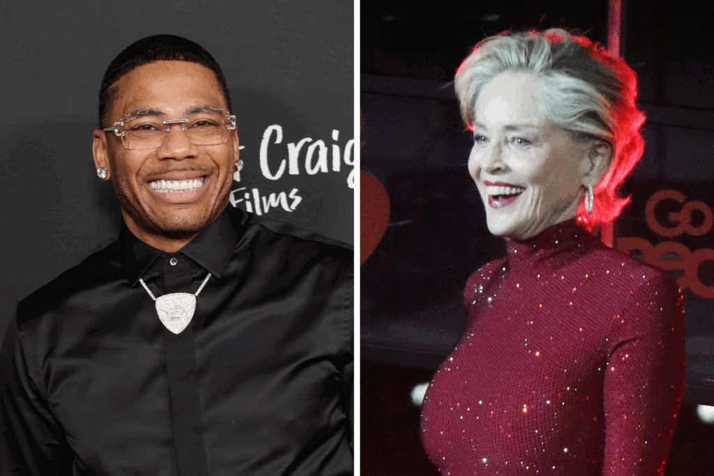 Sharon Stone Casually Reveals She Went On A Date With Nelly