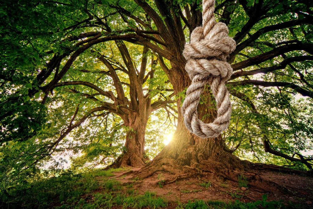 Noose-Like Rope Found Hanging Near Black History Museum In Atlanta