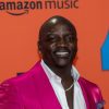 Locked Up: Akon Arrested In Georgia On Outstanding Warrant
