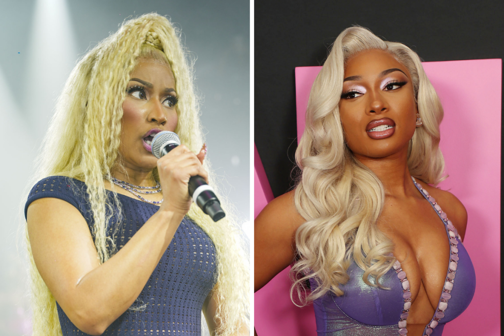 Megan Thee Stallion Disses Nicki Minaj During Explosive Trial