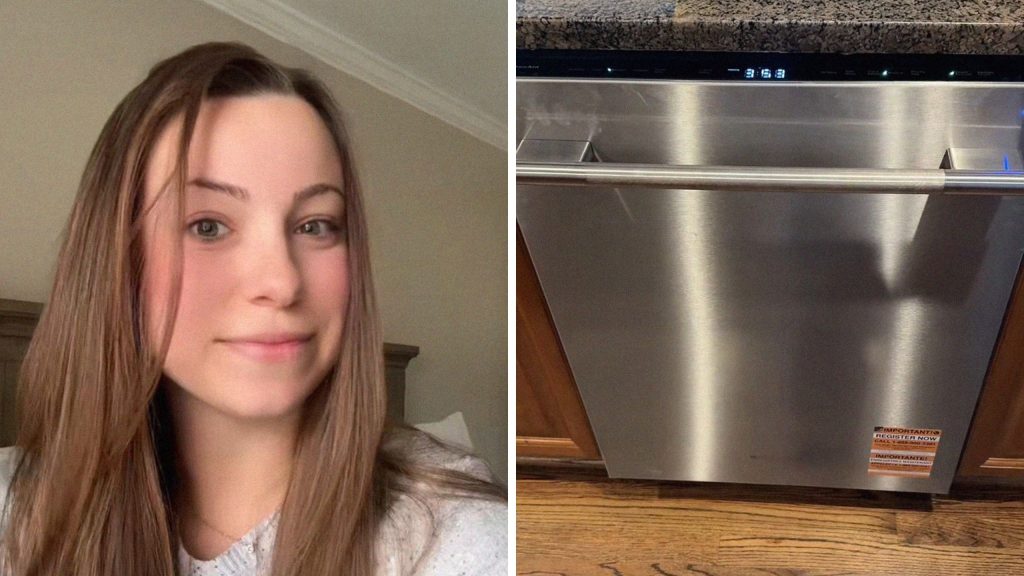 'Um, Does Anyone Know What's Going on?': Georgia Woman Buys KitchenAid Dishwasher. Then She Realizes It Has a Four-hour Cleaning Cycle
