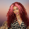 SZA Headlines TDE’s Toy Drive Concert With Star Power