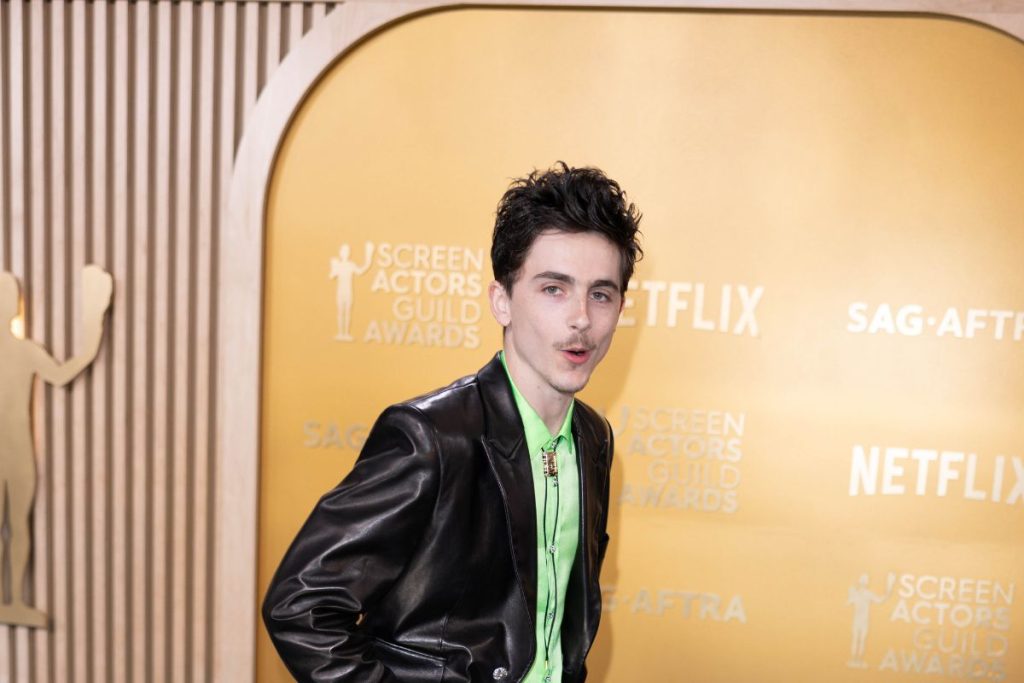 Timothée Chalamet Refuses To Deny He's The Masked Rapper EsDeeKid